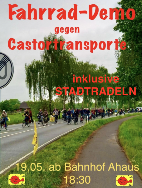 fahrraddemo_002